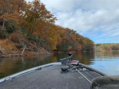 fishing report on lake hartwell